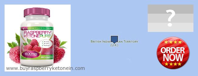 Où Acheter Raspberry Ketone en ligne British Indian Ocean Territory
